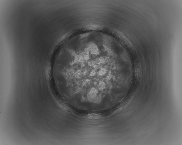 X0000112030591200908171452