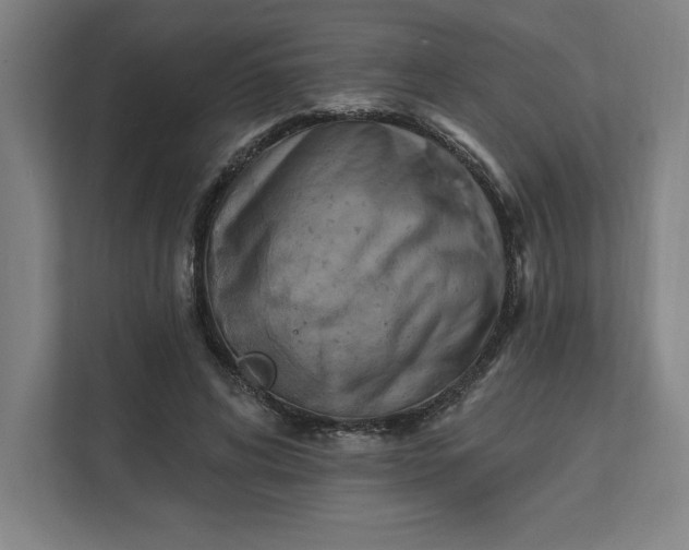 X0000112030592200908171452