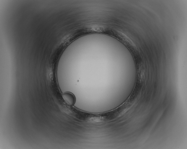 X0000112030595200908171452