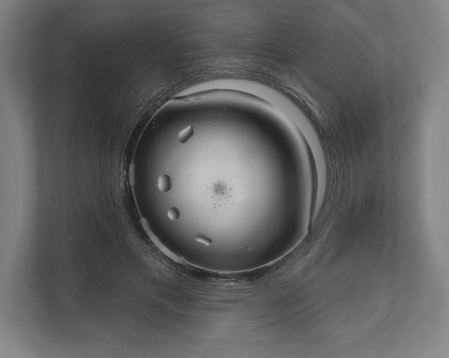 X0000112030597200908171452