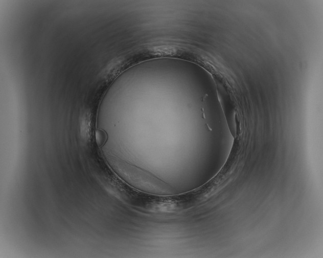 X0000112030600200908171452