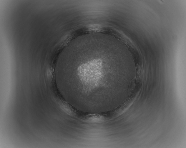 X0000112030601200908171452