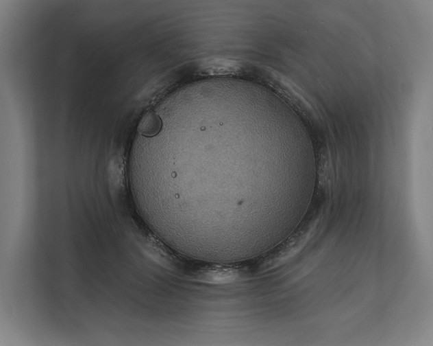 X0000112030604200908171452