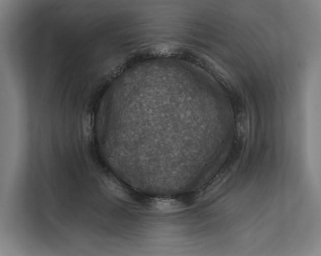 X0000112030605200908171452