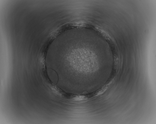 X0000112030609200908171452