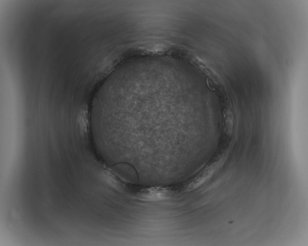 X0000112030612200908171452