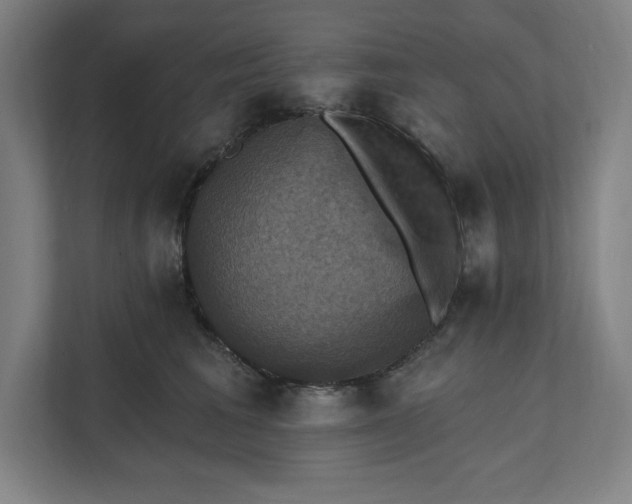 X0000112030613200908171452