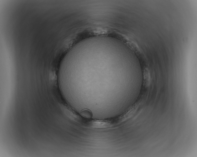 X0000112030614200908171452