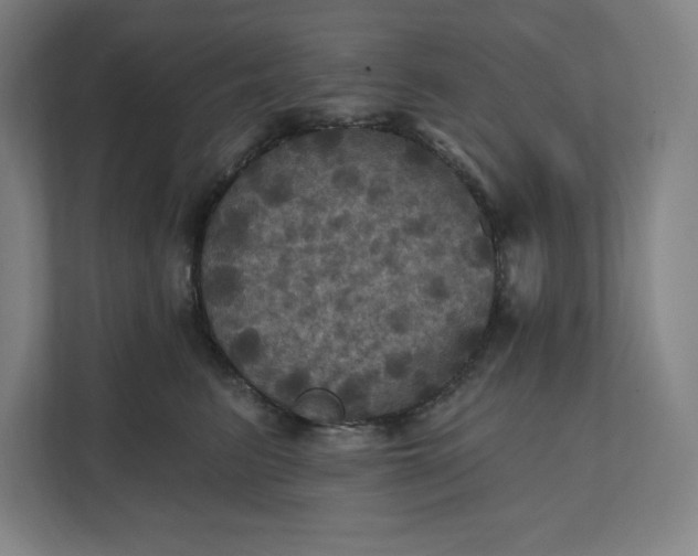 X0000112030615200908171452