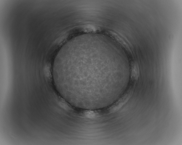X0000112030616200908171452