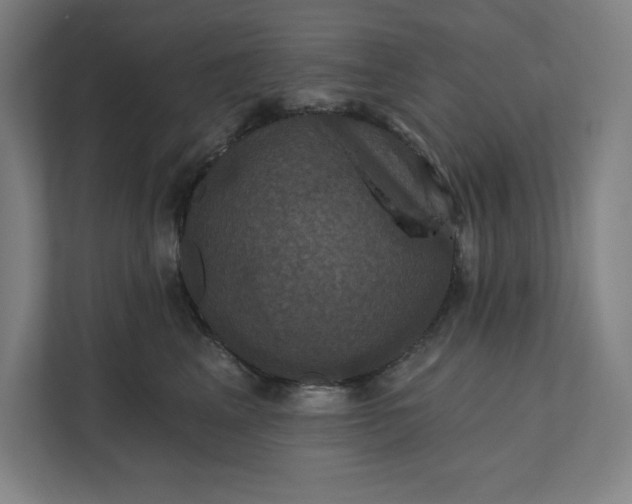 X0000112030617200908171452