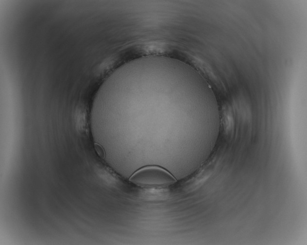 X0000112030619200908171452