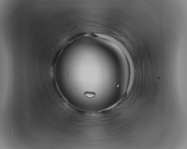 X0000112030621200908171452