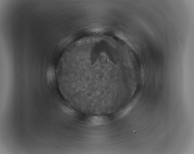 X0000112030623200908171452