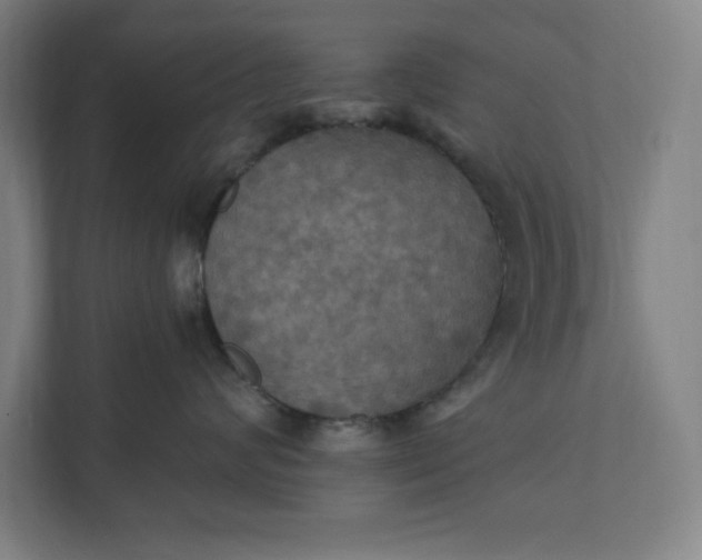 X0000112030624200908171452