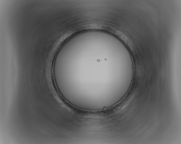 X0000112030625200908171451