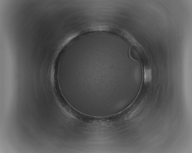 X0000112030627200908171451