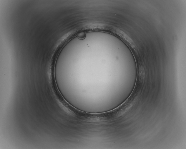 X0000112030629200908171451