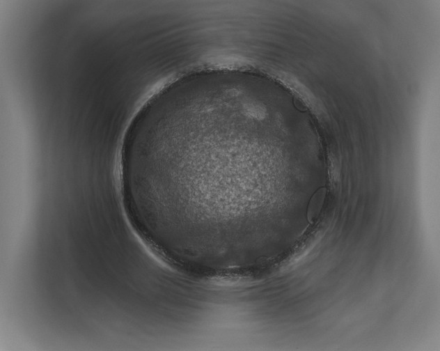X0000112030630200908171451
