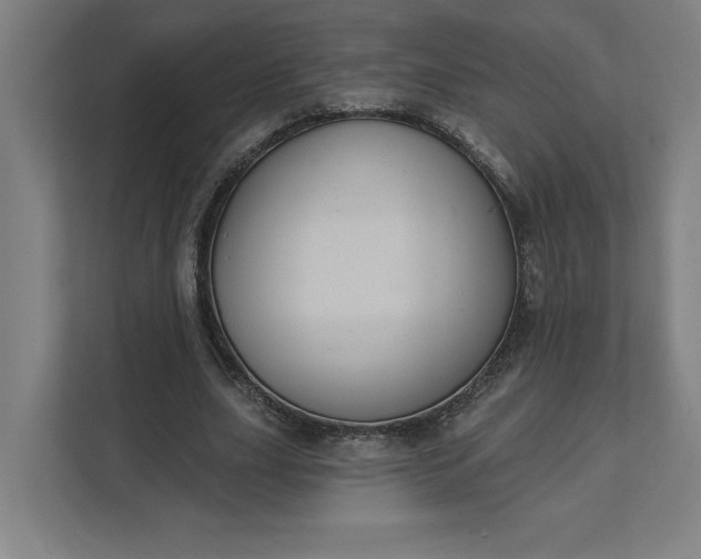 X0000112030631200908171451
