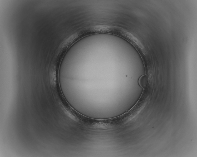 X0000112030633200908171451