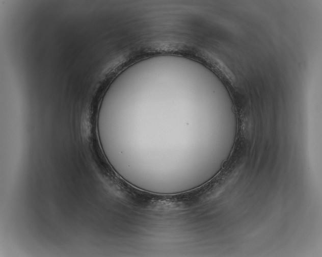 X0000112030635200908171451