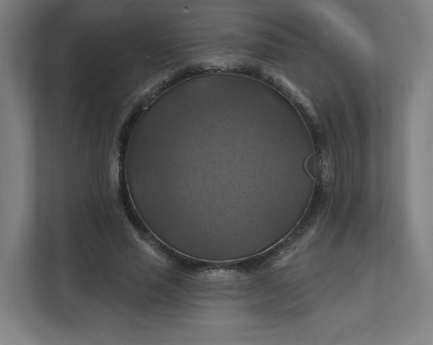 X0000112030637200908171452