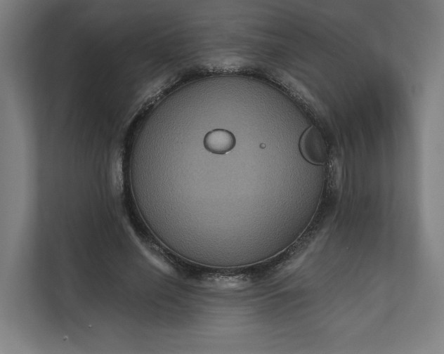X0000112030638200908171452