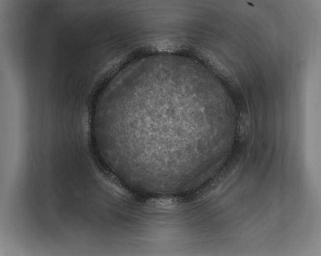 X0000112030639200908171452