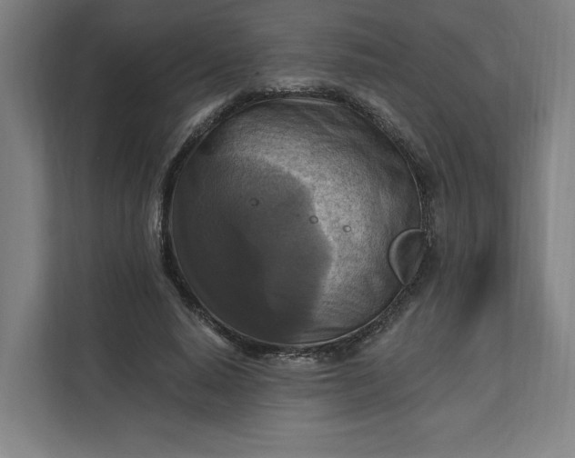 X0000112030640200908171452
