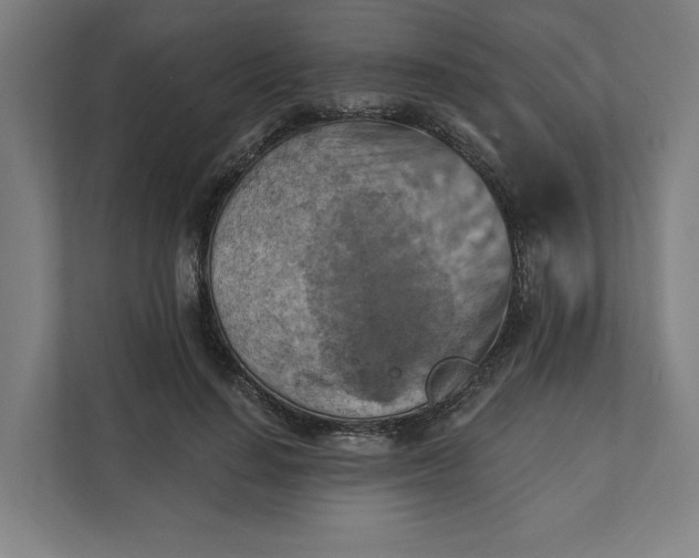 X0000112030644200908171452
