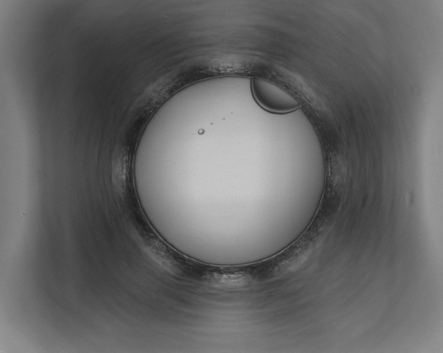 X0000112030645200908171452