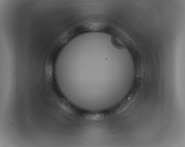 X0000112030646200908171452