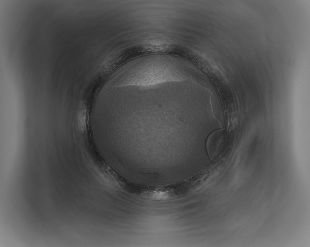 X0000112030647200908171452