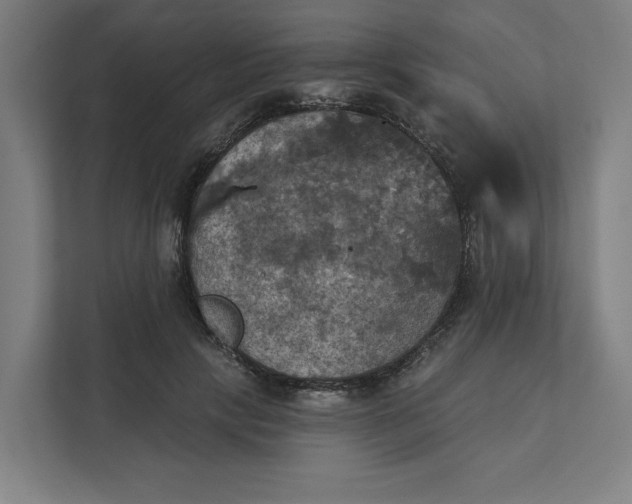 X0000112030649200908171452