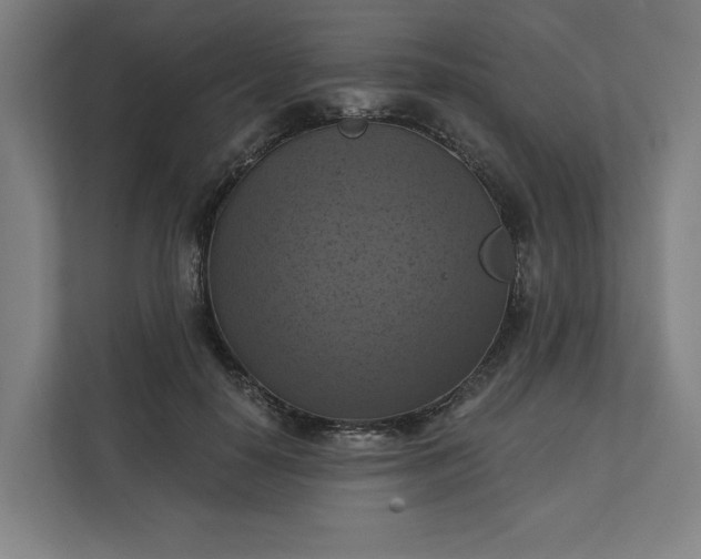 X0000112030650200908171452