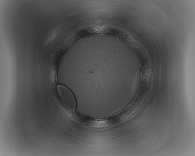 X0000112030651200908171452