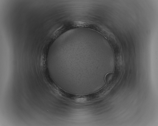 X0000112030653200908171452