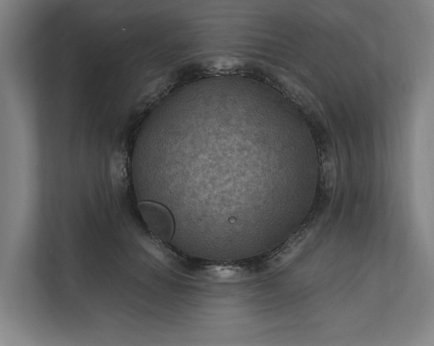 X0000112030654200908171452