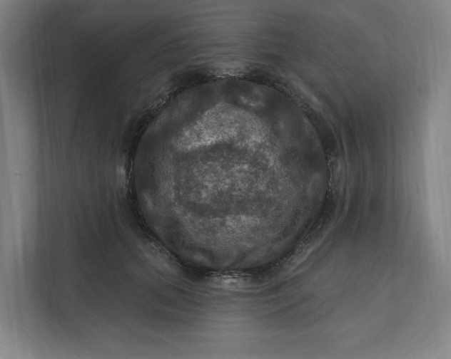 X0000112030655200908171452