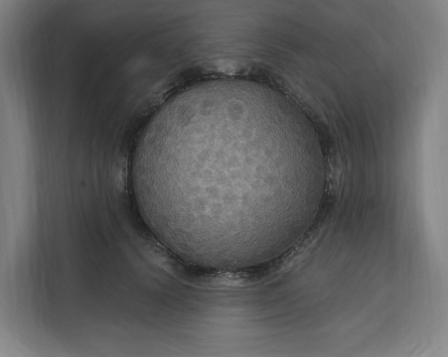 X0000112030656200908171452