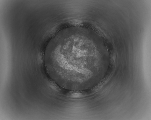 X0000112030658200908171452