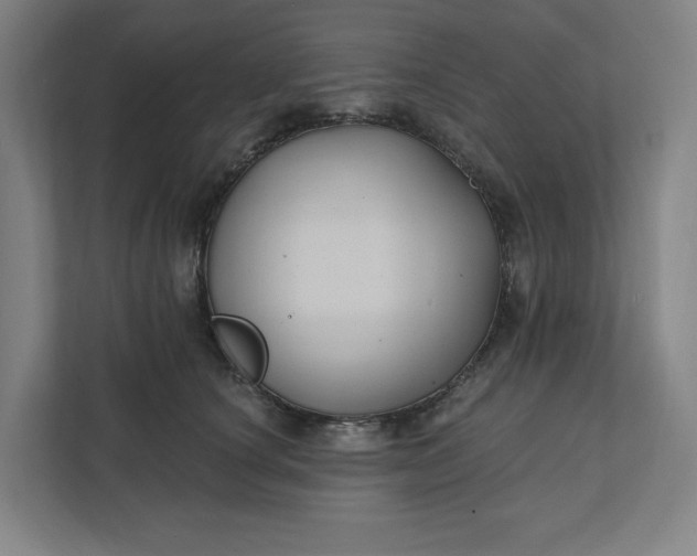 X0000112030660200908171452