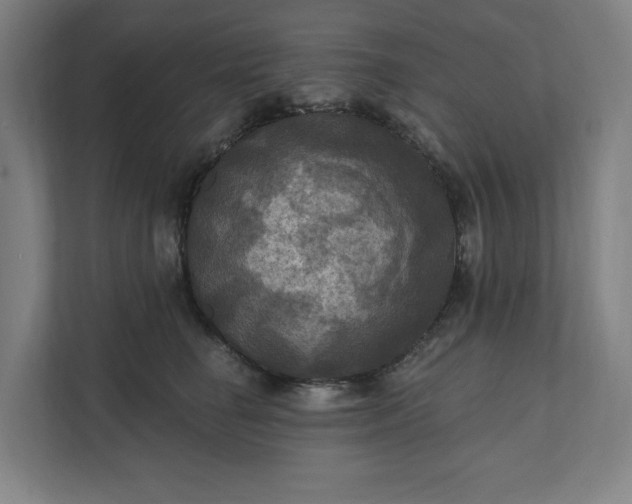 X0000112030662200908171452