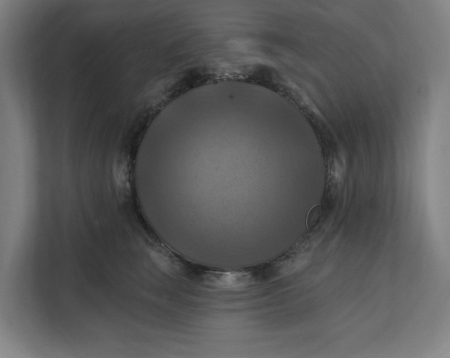 X0000112030663200908171452
