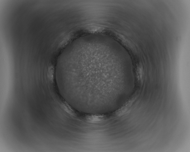 X0000112030664200908171452
