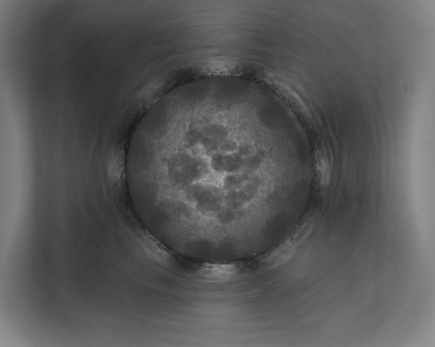X0000112030665200908171452