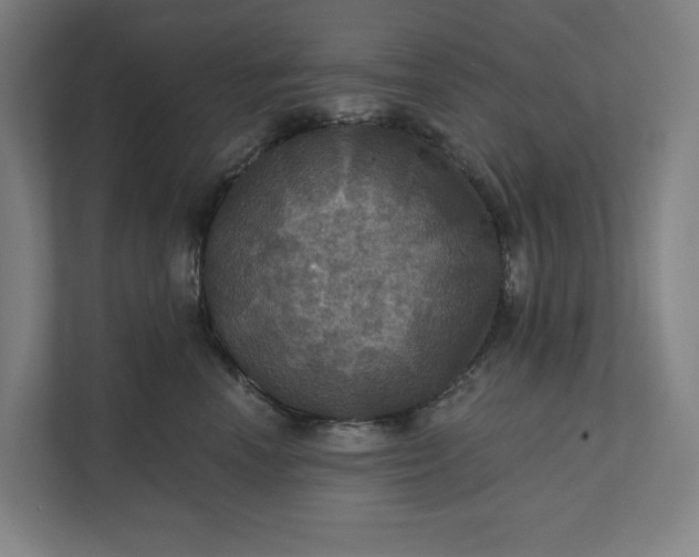 X0000112030666200908171452
