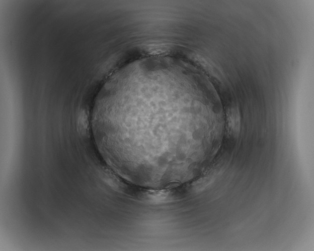 X0000112030667200908171452
