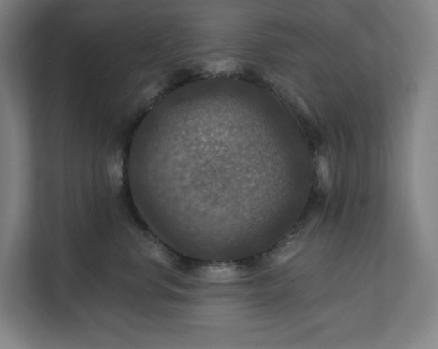X0000112030668200908171452